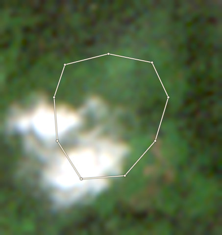Plot CRS-AFI-0002: the latest selected photo