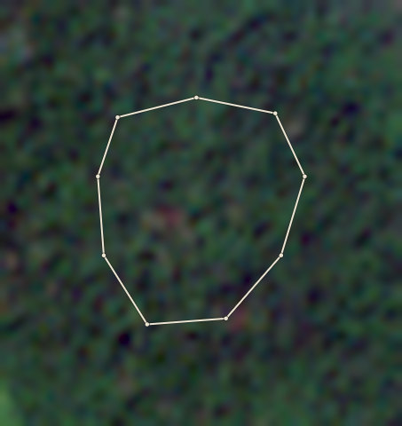 Plot CRS-AFI-0002: the 2020 photo