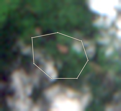 Plot CRS-AFI-0003: the latest selected photo