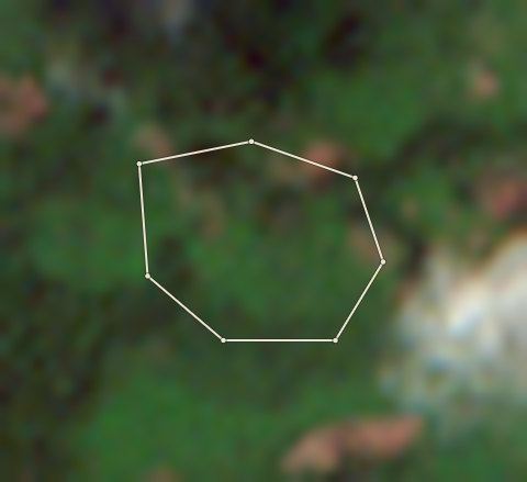 Plot CRS-AFI-0003: the 2020 photo