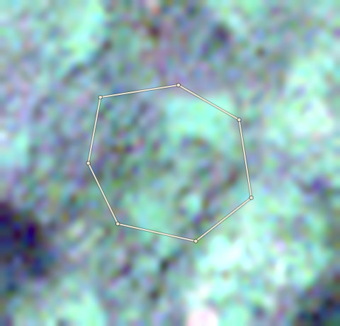 Plot CRS-AFI-0004: the latest selected photo