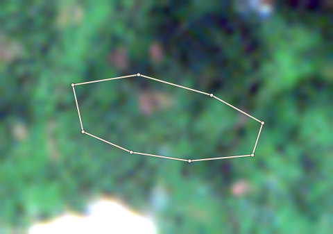 Plot CRS-AFI-0005: the latest selected photo