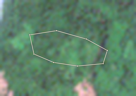 Plot CRS-AFI-0005: the 2020 photo