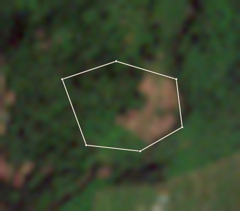 Plot CRS-AFI-0006: the 2020 photo