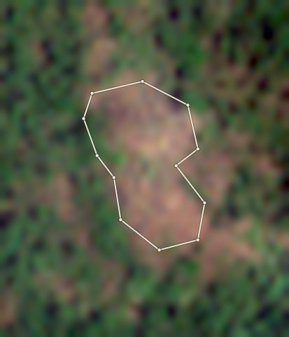 Plot CRS-AFI-0007: the latest selected photo