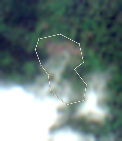 Plot CRS-AFI-0007: the 2020 photo