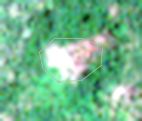 Plot CRS-AFI-0008: the latest selected photo