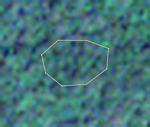 Plot CRS-AFI-0008: the 2020 photo