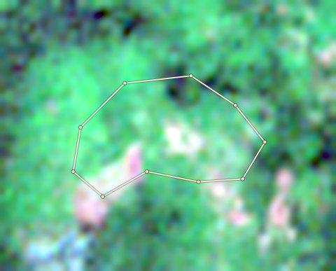 Satellite photo of farm CRS-AFI-0001 taken 10 Dec 2023