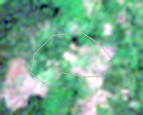 Satellite photo of farm CRS-AFI-0001 taken 29 Nov 2024
