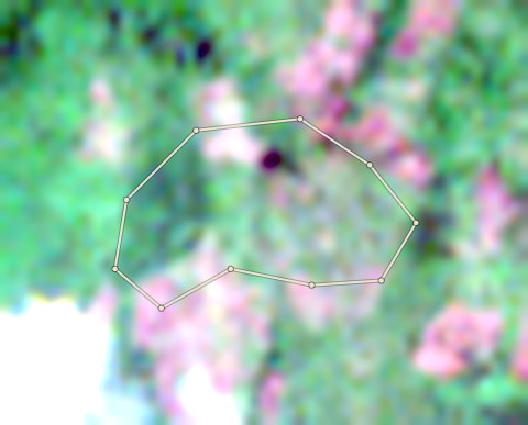 Satellite photo of farm CRS-AFI-0001 taken 19 Mar 2026