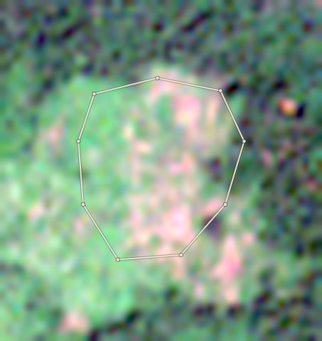 Satellite photo of farm CRS-AFI-0002 taken 15 Nov 2022