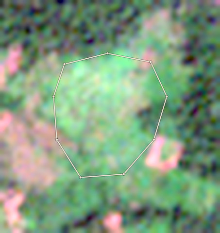 Satellite photo of farm CRS-AFI-0002 taken 29 Nov 2024