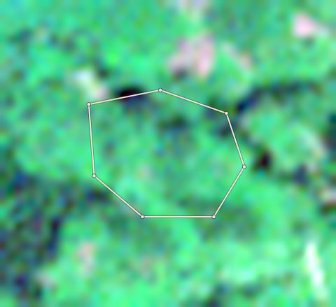 Satellite photo of farm CRS-AFI-0003 taken 15 Nov 2021