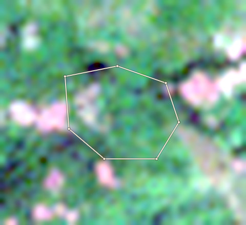 Satellite photo of farm CRS-AFI-0003 taken 29 Nov 2024