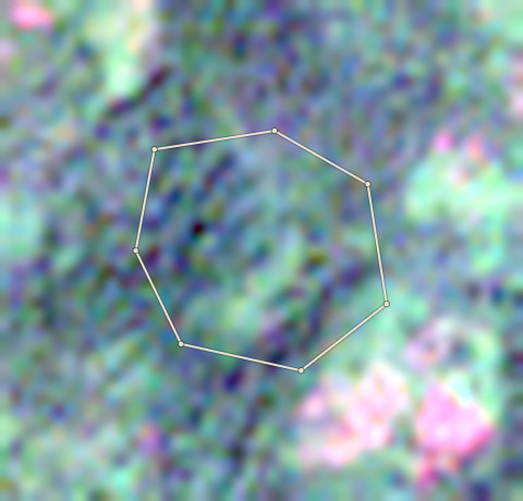 Satellite photo of farm CRS-AFI-0004 taken 4 Dec 2024