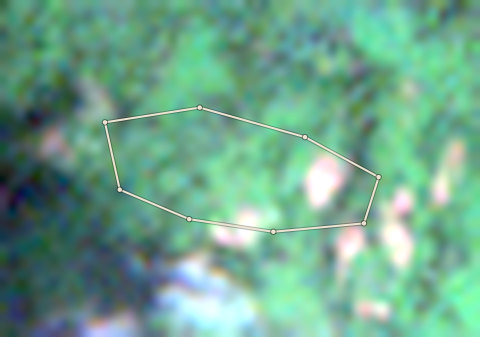 Satellite photo of farm CRS-AFI-0005 taken 15 Nov 2021