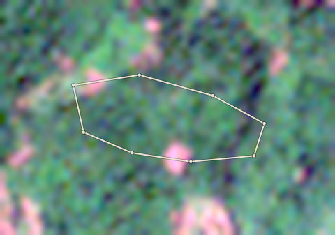 Satellite photo of farm CRS-AFI-0005 taken 4 Dec 2024