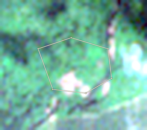Satellite photo of farm CRS-AFI-0006 taken 10 Dec 2023