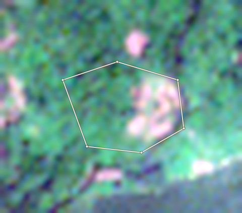 Satellite photo of farm CRS-AFI-0006 taken 4 Dec 2024