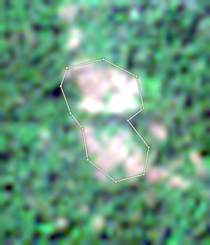 Satellite photo of farm CRS-AFI-0007 taken 4 Dec 2024