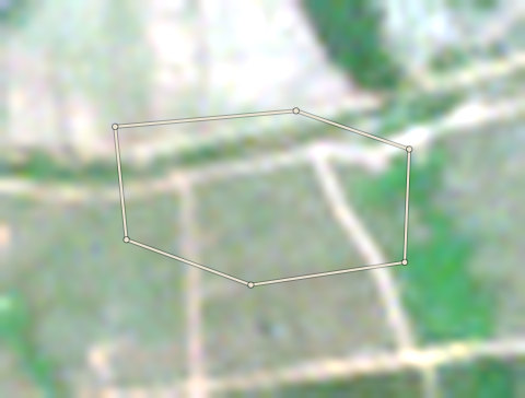 Plot OND-OLW-0001: the latest selected photo