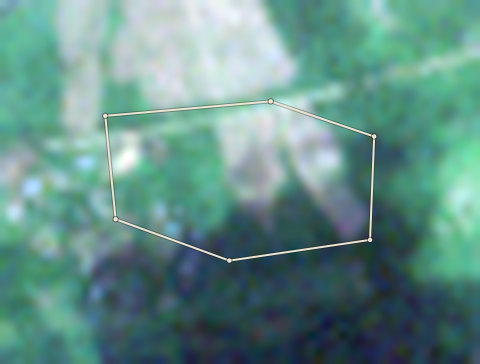 Plot OND-OLW-0001: the 2020 photo