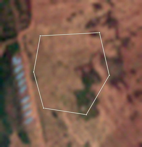 Plot OND-OLW-0002: the 2020 photo
