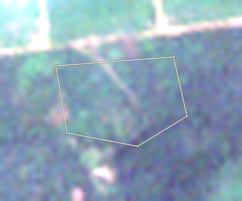 Plot OND-OLW-0003: the latest selected photo