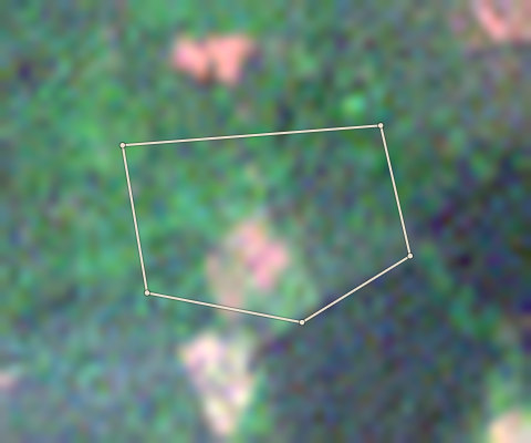 Plot OND-OLW-0003: the 2020 photo