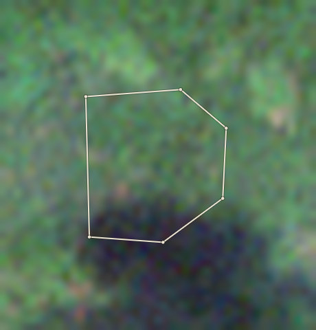 Plot OND-OLW-0004: the 2020 photo