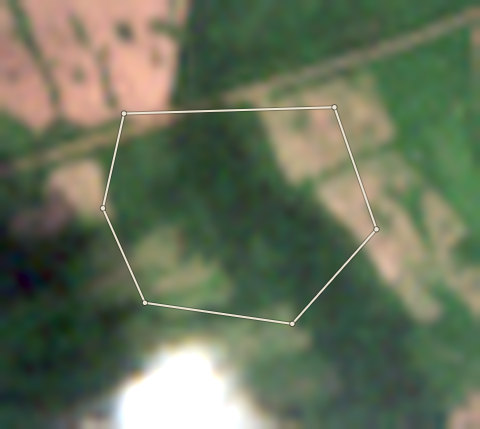 Plot OND-OLW-0005: the 2020 photo