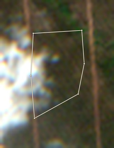 Plot OND-OLW-0006: the latest selected photo