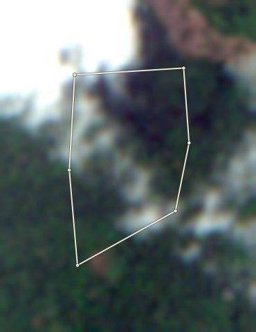 Plot OND-OLW-0006: the 2020 photo