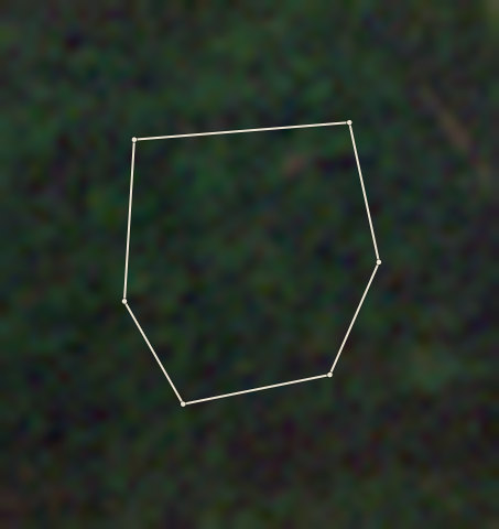 Plot OND-OLW-0008: the 2020 photo
