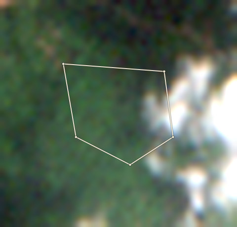 Plot OND-OLW-0009: the 2020 photo