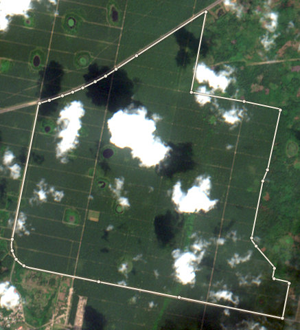 Satellite photo of farm EDO-PML-0001 taken 8 Dec 2020