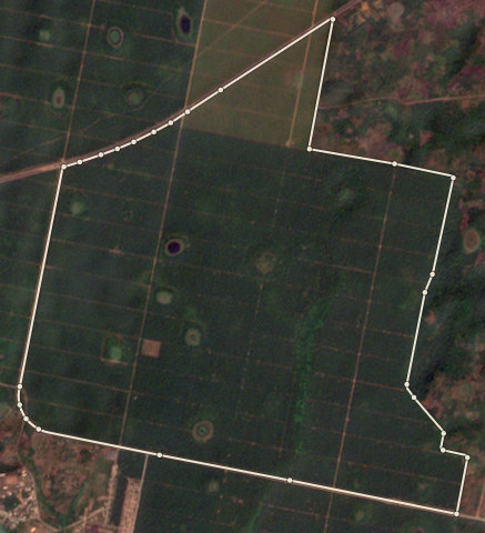 Satellite photo of farm EDO-PML-0001 taken 11 Jan 2025