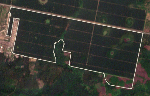 Satellite photo of farm EDO-PML-0002 taken 11 Feb 2021