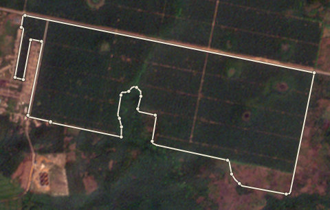 Satellite photo of farm EDO-PML-0002 taken 11 Jan 2025