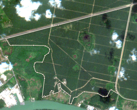 Satellite photo of farm EDO-PML-0003 taken 8 Dec 2020