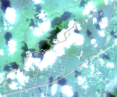 Satellite photo of farm EDO-PML-0004 taken 8 Dec 2020