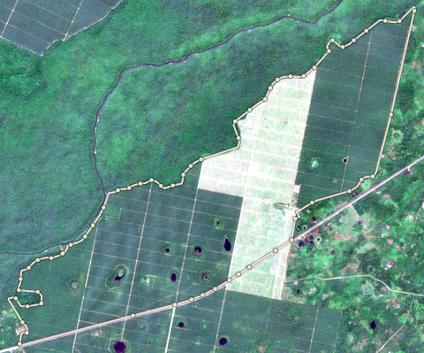 Satellite photo of farm EDO-PML-0004 taken 18 Dec 2023