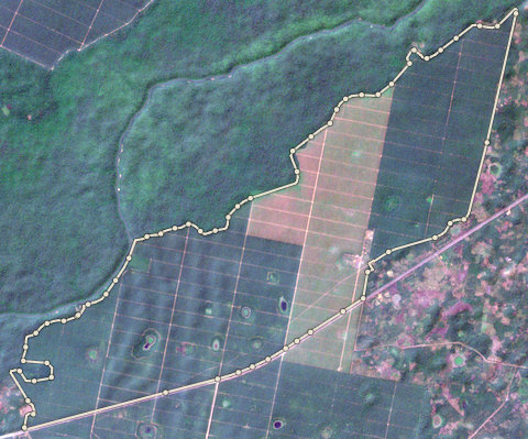 Satellite photo of farm EDO-PML-0004 taken 11 Jan 2025