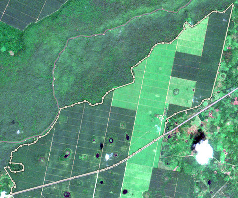 Satellite photo of farm EDO-PML-0004 taken 4 Dec 2025